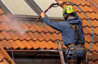 Démoussage et hydrofuge de toiture au Vigean